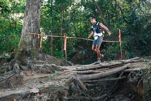 BIB: 
                            <button type="button" onclick="openModal(27305725)" class="btn btn-primary btn-sm float-right btn-popup" data-toggle="modal" data-target=".modal-high-quality">
                        <i class="fas fa-shopping-cart"></i> Add to Cart
                    </button>
                                            <button type="button" onclick="isThisMe(27305725, true)" class="btn btn-success btn-sm float-right btn-popup btn-isme hidden" data-toggle="tooltip" data-placement="bottom" title="นี่คือรูปของคุณใช่ไหม คลิกที่นี่เพื่อเอาเข้าอัลบั้ม">
                        <i class="fas fa-plus"></i> Add to album
                    </button>
                    <button type="button" onclick="isThisMe(27305725, false)" class="btn btn-warning btn-sm float-right btn-popup btn-isnotme hidden">
                        <i class="fas fa-ban"></i> Remove from album
                    </button>